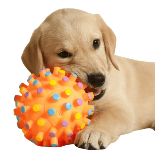 juguetes-perros_1-removebg-preview